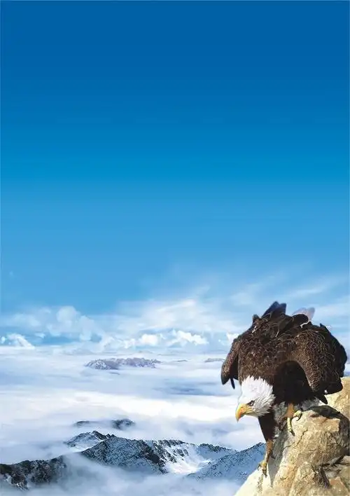 泡沫包装属于什么垃圾